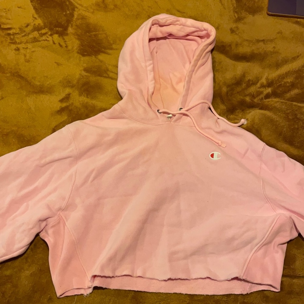 Authentic cropped champion hoodie